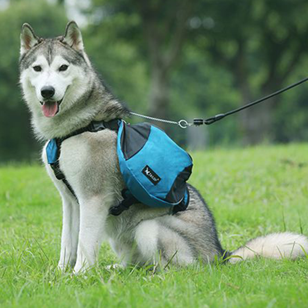 犬用ウェイトトレーニングバックパックハーネスベスト反射ストラ - Crossfit Weight Vest のレビューと価格